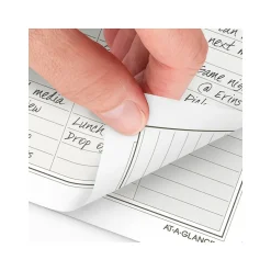 2025 AT-A-GLANCE 5.5