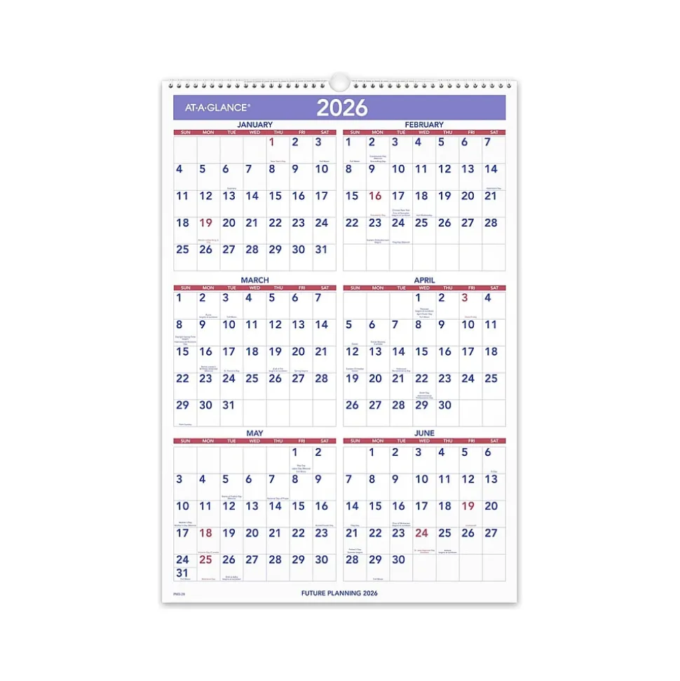 2025 AT-A-GLANCE 15.5" x 22.75" Monthly Wall Calendar, White/Purple (PM3-28-25)