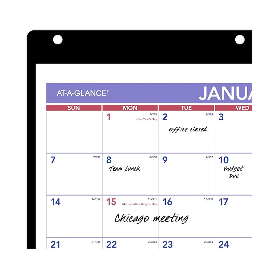 2025 AT-A-GLANCE 11" x 8" Monthly Wet-Erase Desk or Wall Calendar with Jacket, Multicolor (SK8-00-25)