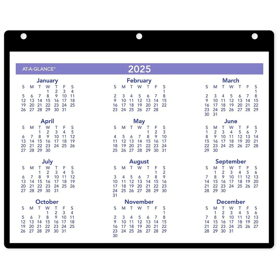 2025 AT-A-GLANCE 11" x 8" Monthly Wet-Erase Desk or Wall Calendar with Jacket, Multicolor (SK8-00-25)