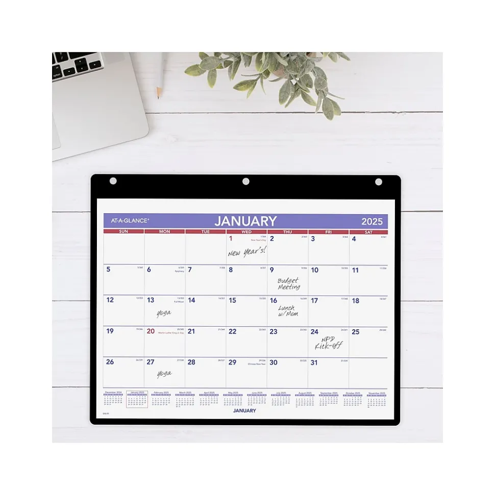 2025 AT-A-GLANCE 11" x 8" Monthly Wet-Erase Desk or Wall Calendar with Jacket, Multicolor (SK8-00-25)