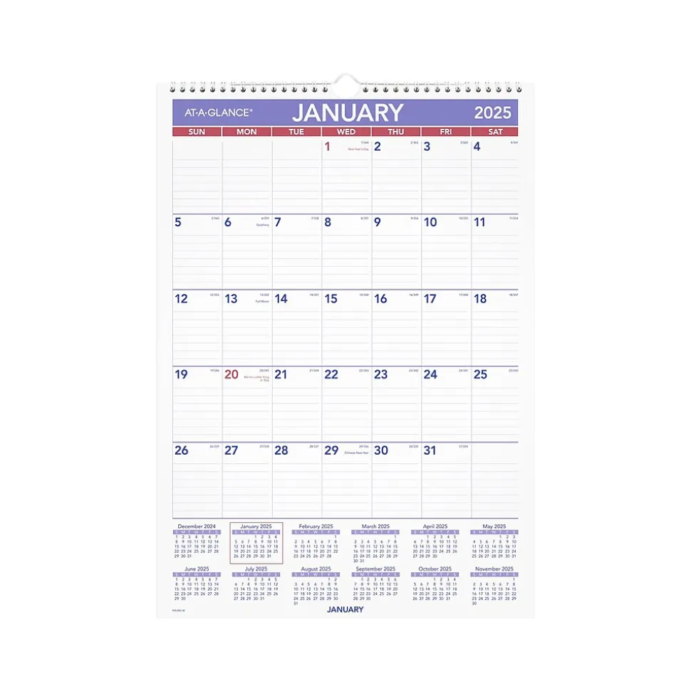 2025 AT-A-GLANCE 17" x 12" Monthly Wet-Erase Wall Calendar (PMLM02-28-25)