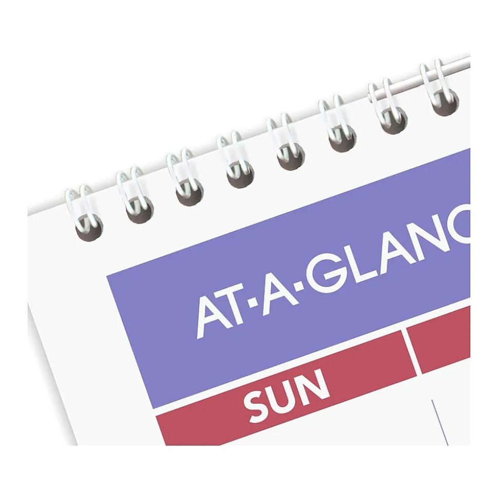 2025 AT-A-GLANCE 17" x 12" Monthly Wet-Erase Wall Calendar (PMLM02-28-25)