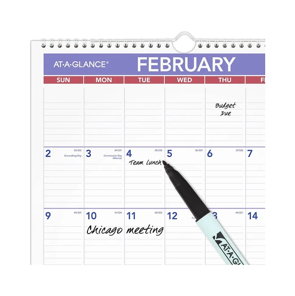 2025 AT-A-GLANCE 17" x 12" Monthly Wet-Erase Wall Calendar (PMLM02-28-25)