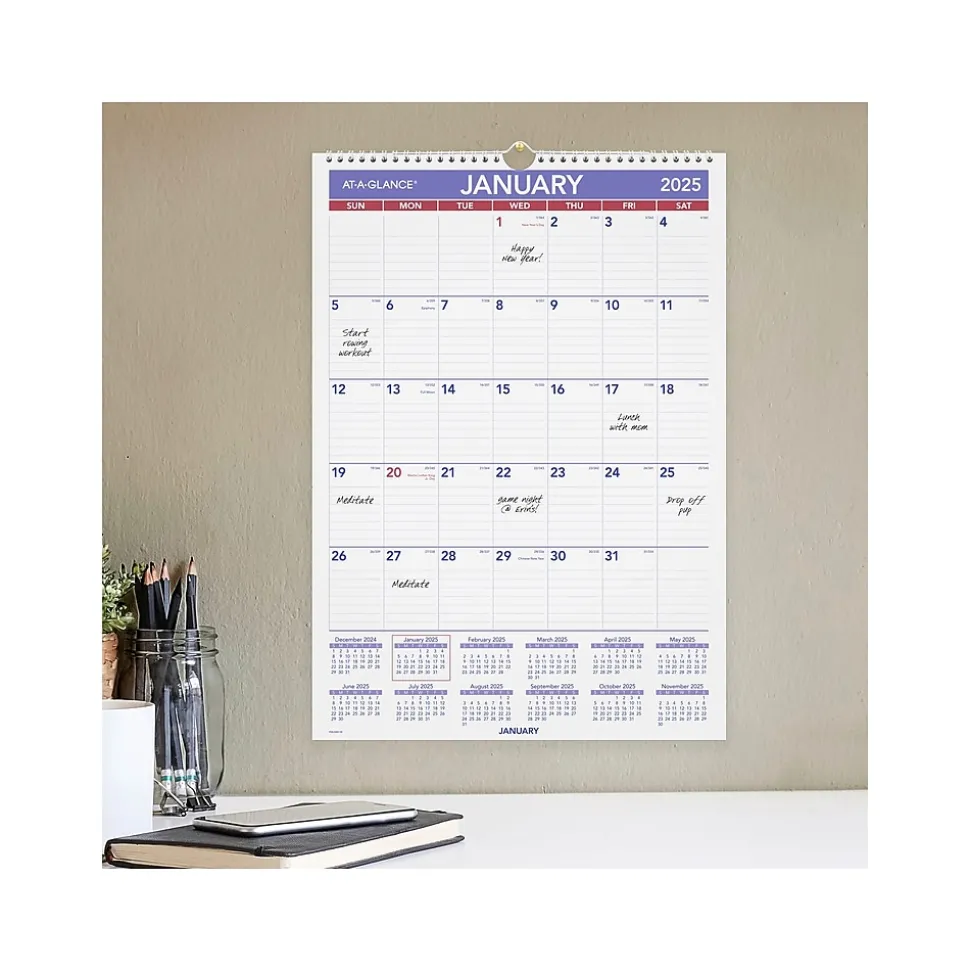 2025 AT-A-GLANCE 17" x 12" Monthly Wet-Erase Wall Calendar (PMLM02-28-25)