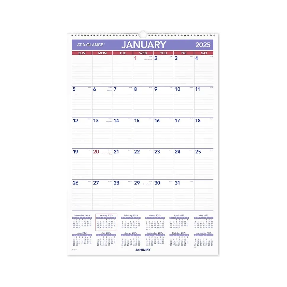 2025 AT-A-GLANCE 15.5" x 22.75" Monthly Wet-Erasable Wall Calendar (PMLM03-28-25)