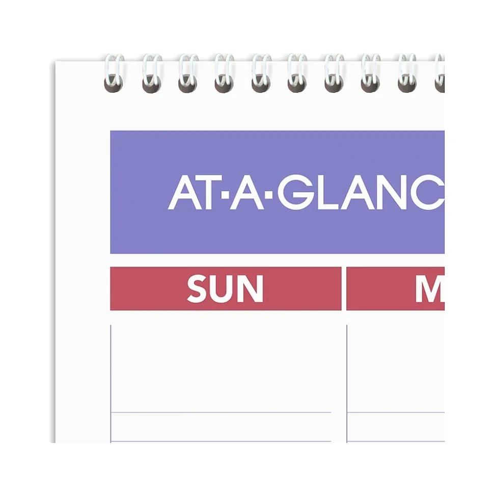 2025 AT-A-GLANCE 15.5" x 22.75" Monthly Wet-Erasable Wall Calendar (PMLM03-28-25)