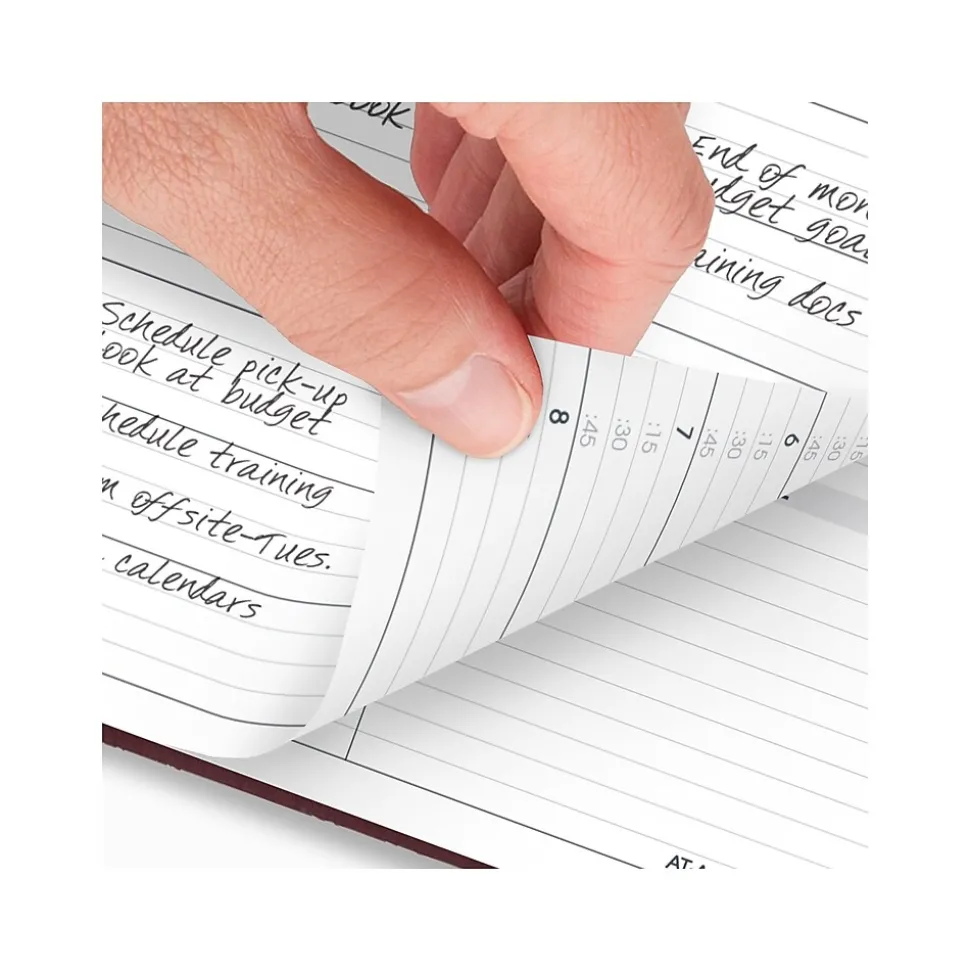 2025 AT-A-GLANCE 8.25" x 11" Weekly Appointment Book Planner, Faux Leather Cover, Wine Stone (70-950-50-25)