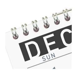 2025 AT-A-GLANCE Contemporary 12