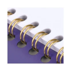 2025 AT-A-GLANCE Contemporary 8.25