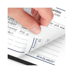 2025 AT-A-GLANCE DayMinder 5