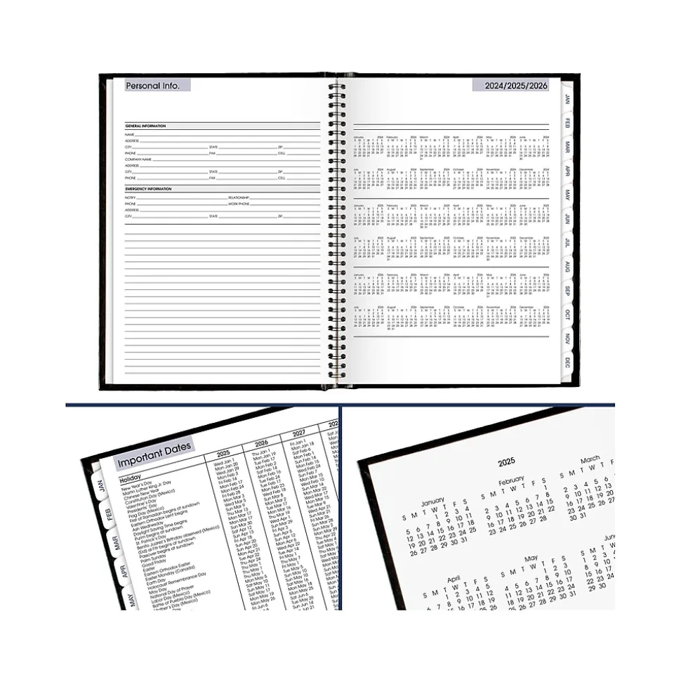 2025 AT-A-GLANCE DayMinder 8" x 11" Weekly Appointment Book Planner, Faux Leather Cover, Black (G520H-00-25)