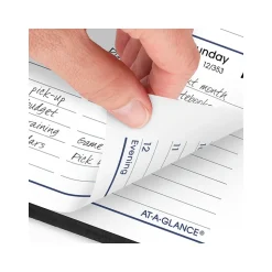 2025 AT-A-GLANCE DayMinder 5