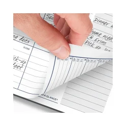 2025 AT-A-GLANCE DayMinder 8.5