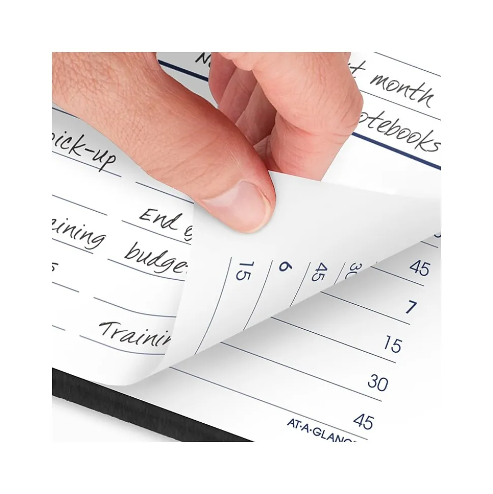 2025 AT-A-GLANCE DayMinder 5" x 8" Daily Appointment Book, Faux Leather Cover, Black (G100-00-25)