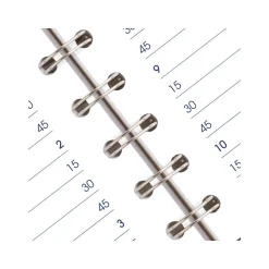 2025 AT-A-GLANCE DayMinder 5