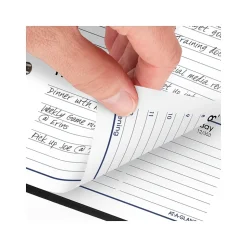 2025 AT-A-GLANCE DayMinder 3.5