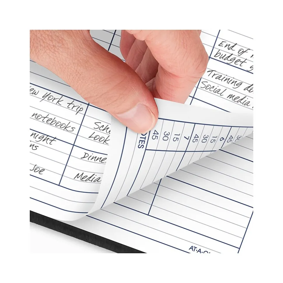 2025 AT-A-GLANCE DayMinder 8" x 11" 4-Person Daily Appointment Book, Faux Leather Cover, Black (G560-00-25)