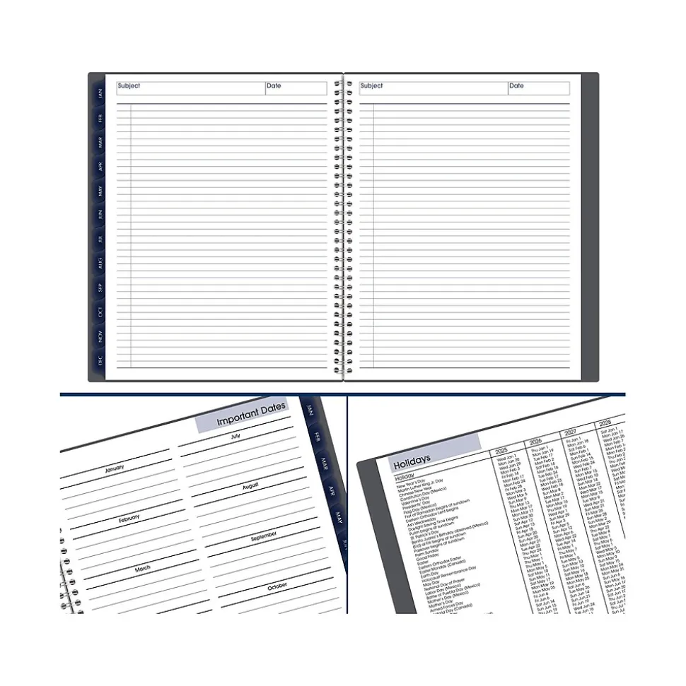 2025 AT-A-GLANCE DayMinder 8.5" x 11" Monthly Planner, Poly Cover, Gray (GC470-07-25)