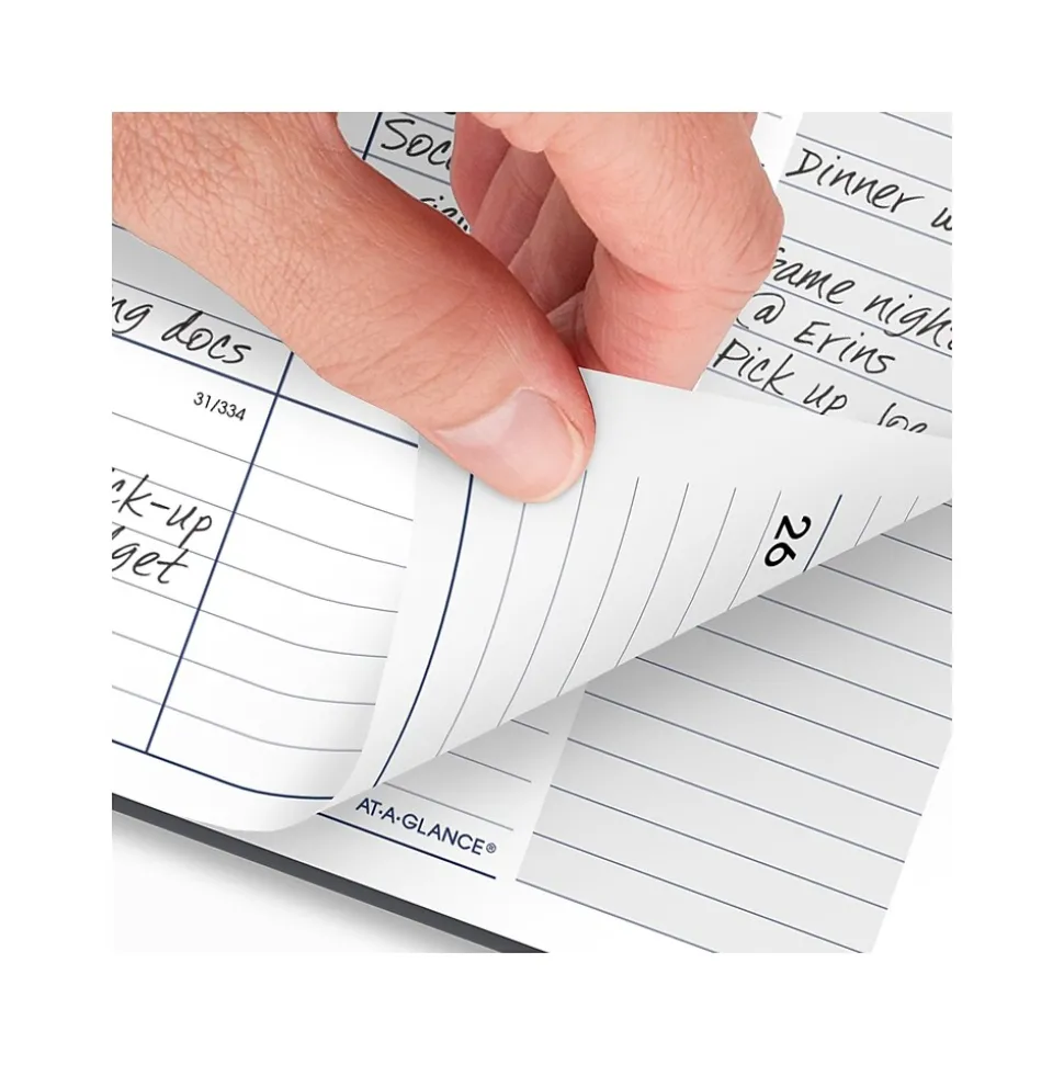 2025 AT-A-GLANCE DayMinder 8.5" x 11" Monthly Planner, Poly Cover, Gray (GC470-07-25)