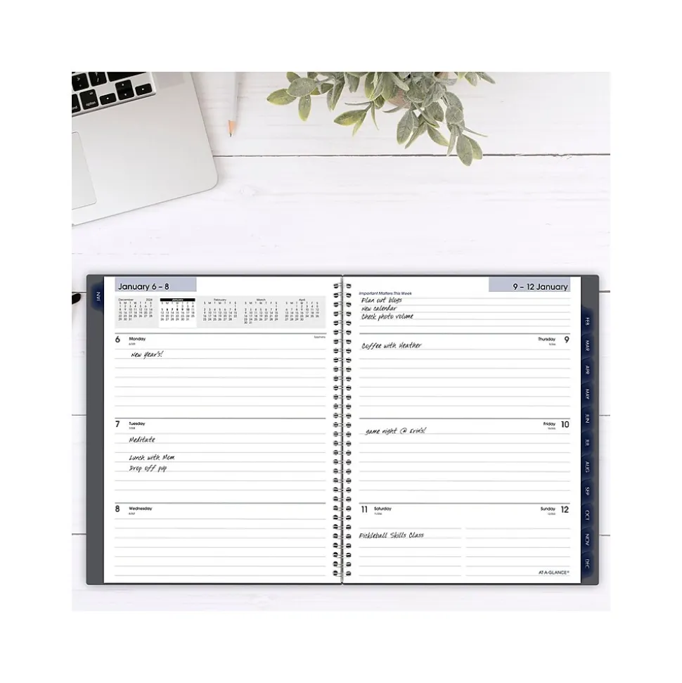 2025 AT-A-GLANCE DayMinder 8.5" x 11" Weekly & Monthly Planner, Poly Cover, Gray (GC545-07-25)