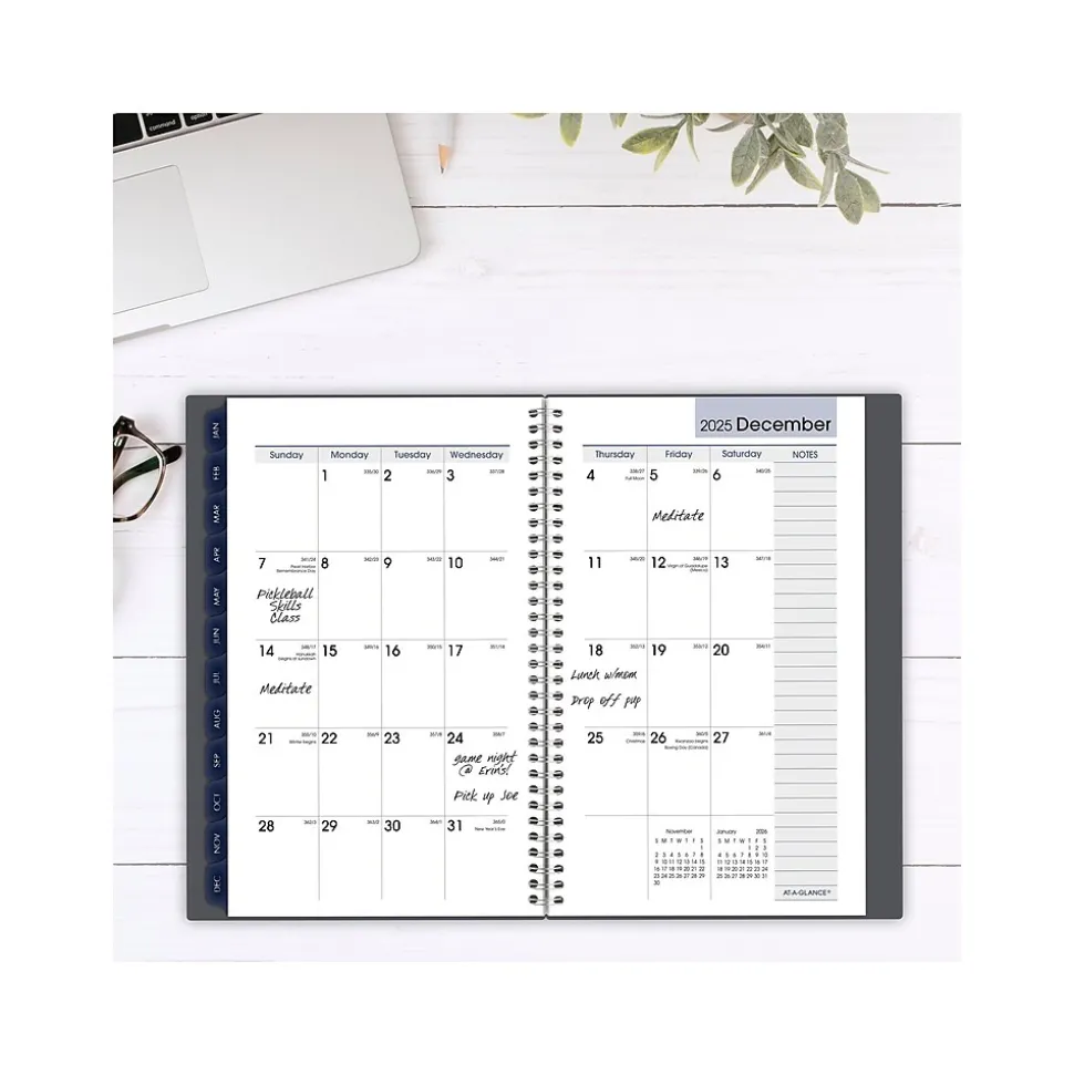 2025 AT-A-GLANCE DayMinder 5" x 8" Weekly & Monthly Planner, Plastic Cover, Gray (GC200-07-25)