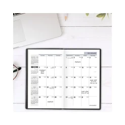 2025 AT-A-GLANCE DayMinder 3.5" x 6" Monthly Planner, Plastic Cover, Black (SK53-00-25)