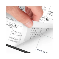 2025 AT-A-GLANCE DayMinder 3.5