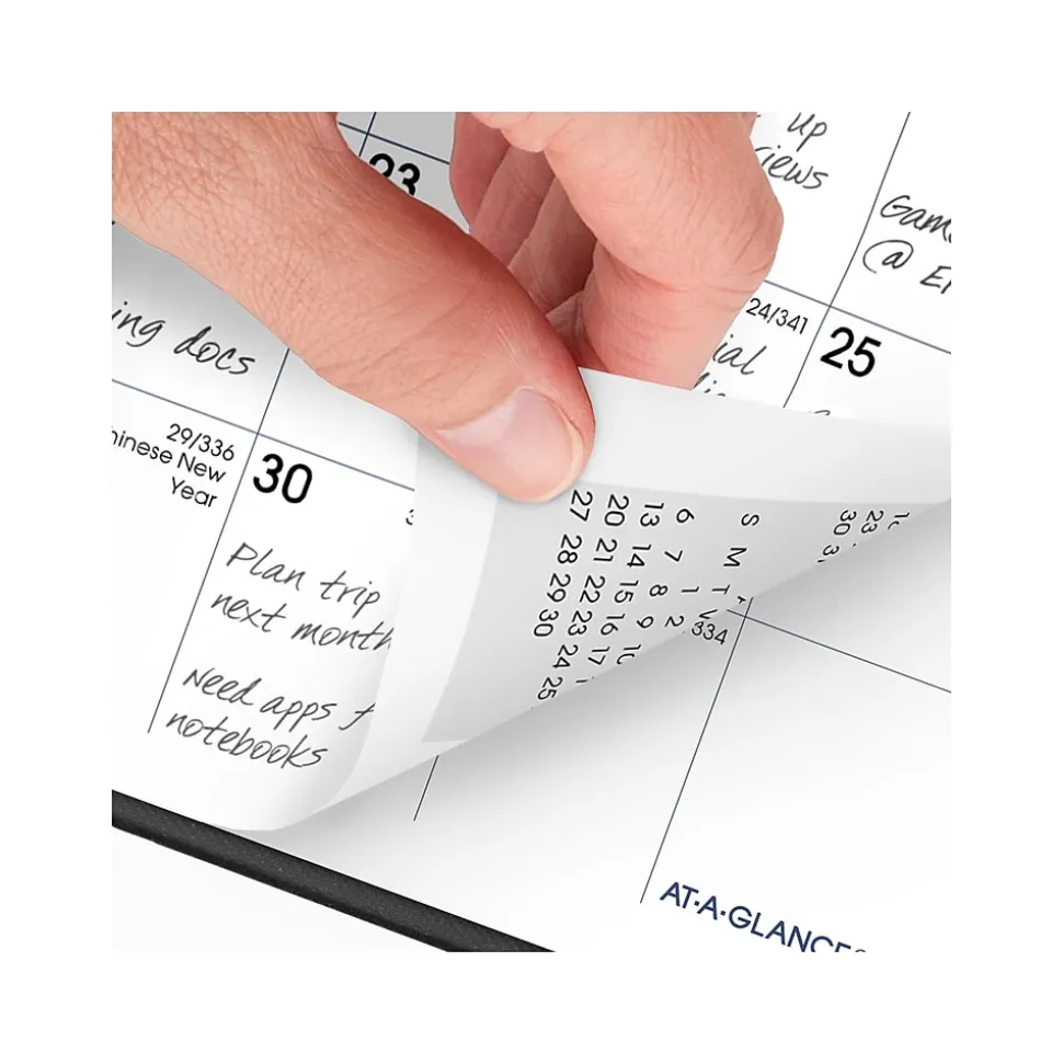 2025 AT-A-GLANCE DayMinder 3.5" x 6" Monthly Planner, Plastic Cover, Black (SK53-00-25)