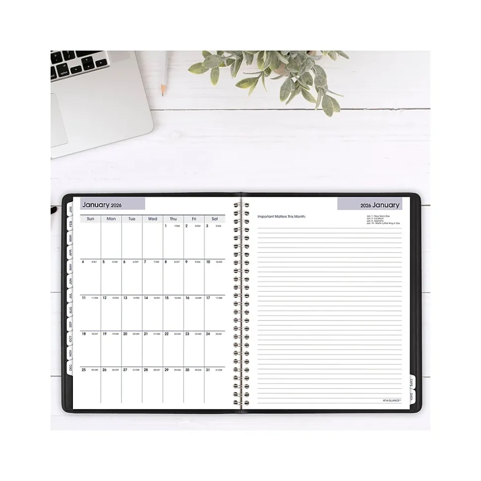 2025 AT-A-GLANCE DayMinder Executive 7" x 8.75" Weekly & Monthly Planner, Faux Leather Cover, Black (G545-00-25)