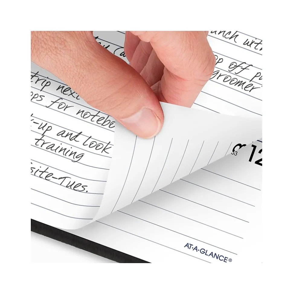 2025 AT-A-GLANCE DayMinder Executive 7" x 8.75" Weekly & Monthly Planner, Faux Leather Cover, Black (G545-00-25)