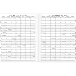 2025 AT-A-GLANCE Executive 11