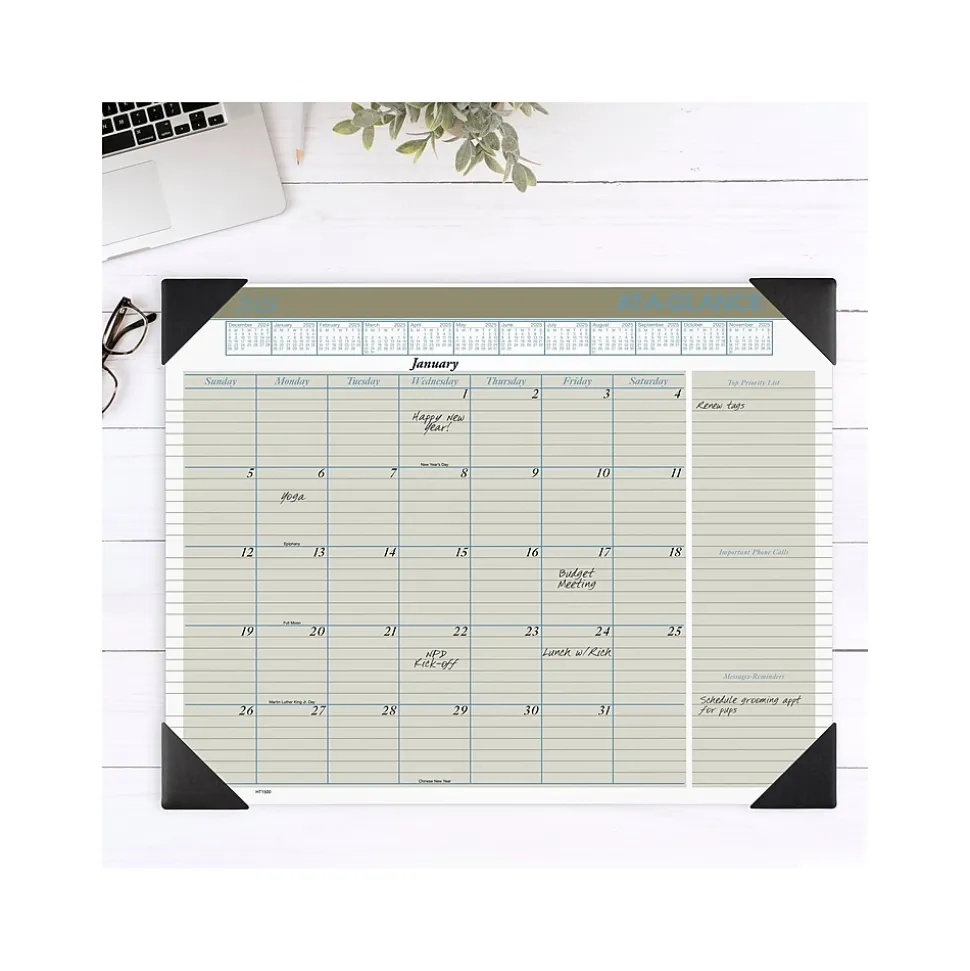 2025 AT-A-GLANCE Executive 21.75" x 17" Monthly Desk Pad Calendar, Green/White (HT1500-25)
