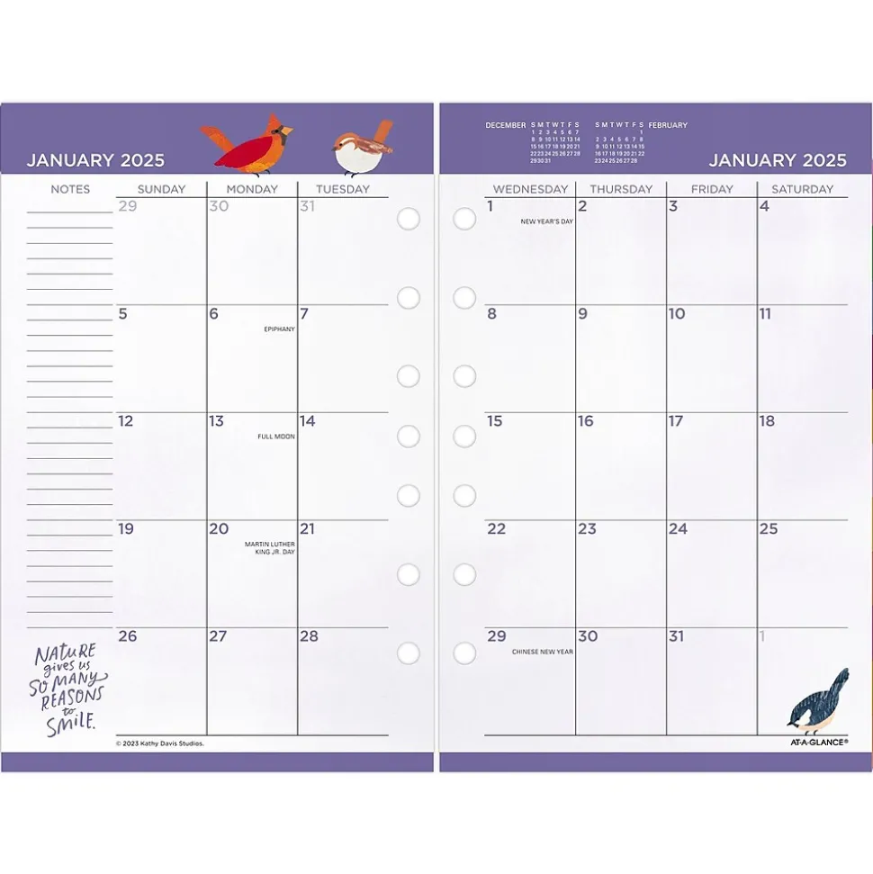 2025 AT-A-GLANCE Kathy Davis 8.5" x 5.5" Daily & Monthly Planner Refill, Multicolor (KD81-125-25)