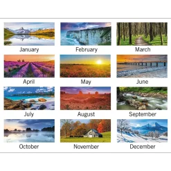 2025 AT-A-GLANCE Landscape 12