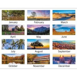 2025 AT-A-GLANCE Scenic 12" x 27" Three-Month Wall Calendar (DMW503-28-25)