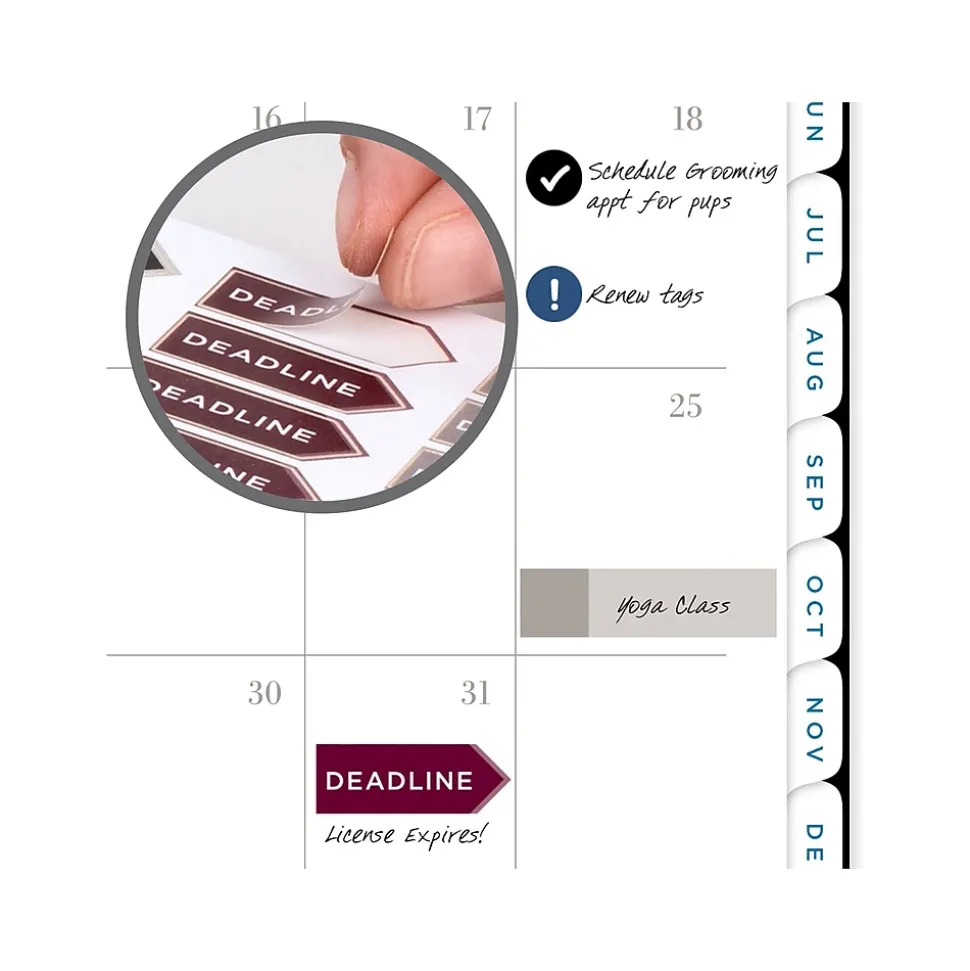 2025 AT-A-GLANCE Signature Lite 5.5" x 8.5" Weekly & Monthly Planner, Poly Cover, Black (YP200L-05-25)