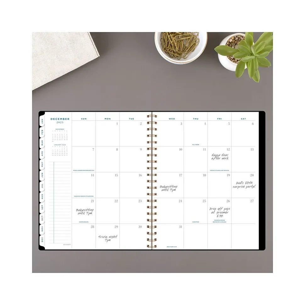 2025 AT-A-GLANCE Signature Lite 8.5" x 11" Weekly & Monthly Planner, Poly Cover, Black (YP905L-05-25)