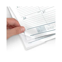 2025 AT-A-GLANCE Success 21.75