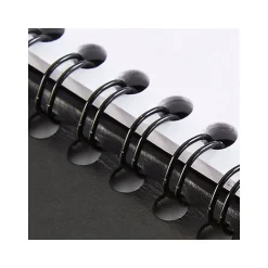 2025 AT-A-GLANCE The Action Planner 6.5