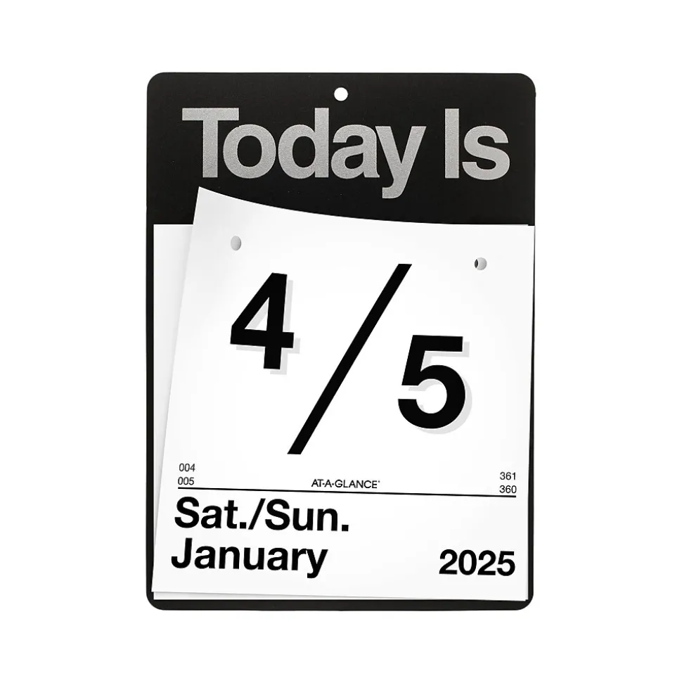 2025 AT-A-GLANCE Today Is 6.63" x 9.13" Daily Wall Calendar, White/Black (K1-00-25)