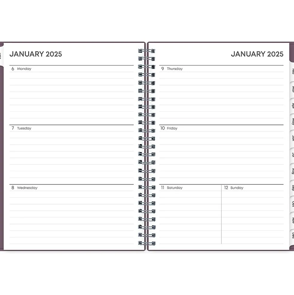 2025 Blue Sky 5.88" x 8.63" Weekly & Monthly Planner, Plastic Cover, Purple (150540)