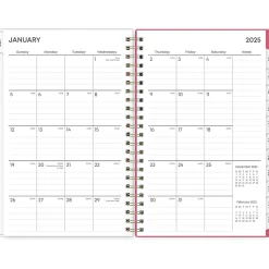 2025 Blue Sky Amalia 5