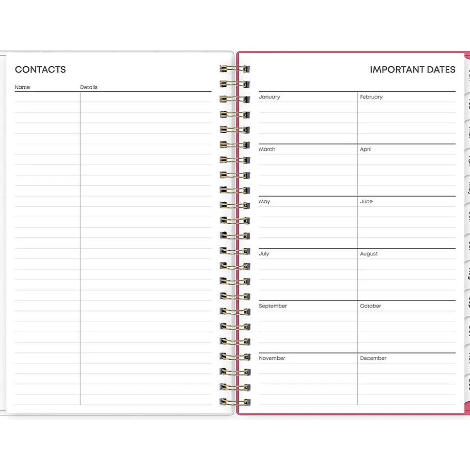 2025 Blue Sky Amalia 5" x 8" Weekly & Monthly Planner, Plastic Cover, Multicolor (148768-25)