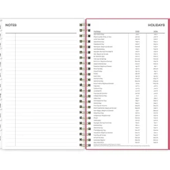 2025 Blue Sky Amalia 5