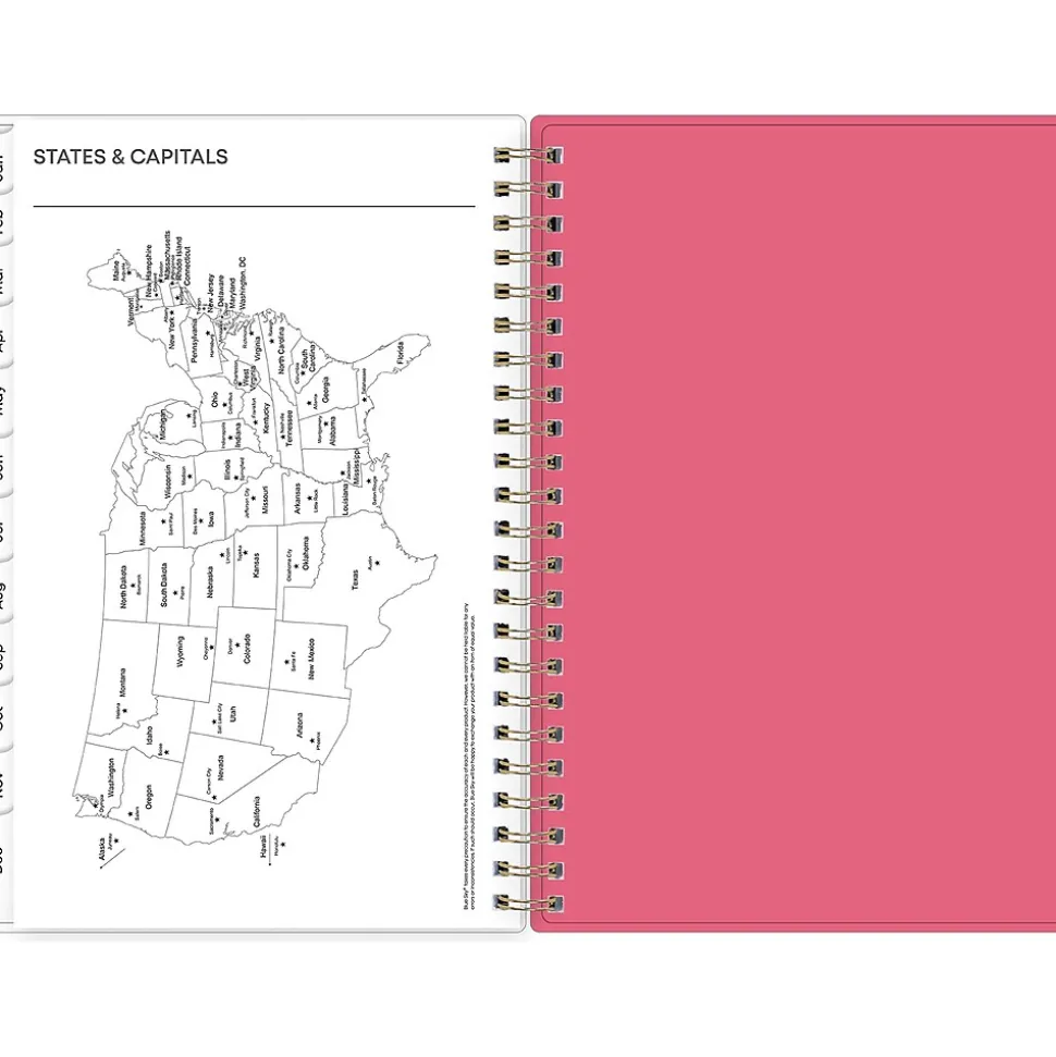 2025 Blue Sky Amalia 5" x 8" Weekly & Monthly Planner, Plastic Cover, Multicolor (148768-25)