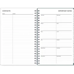 2025 Blue Sky Amitza Blue 5