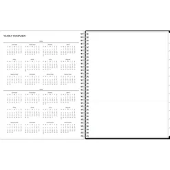 2024-2025 Blue Sky Analeis 8.5