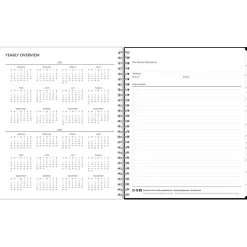 2025 Blue Sky Analeis 8