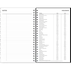 2025 Blue Sky Analeis 5